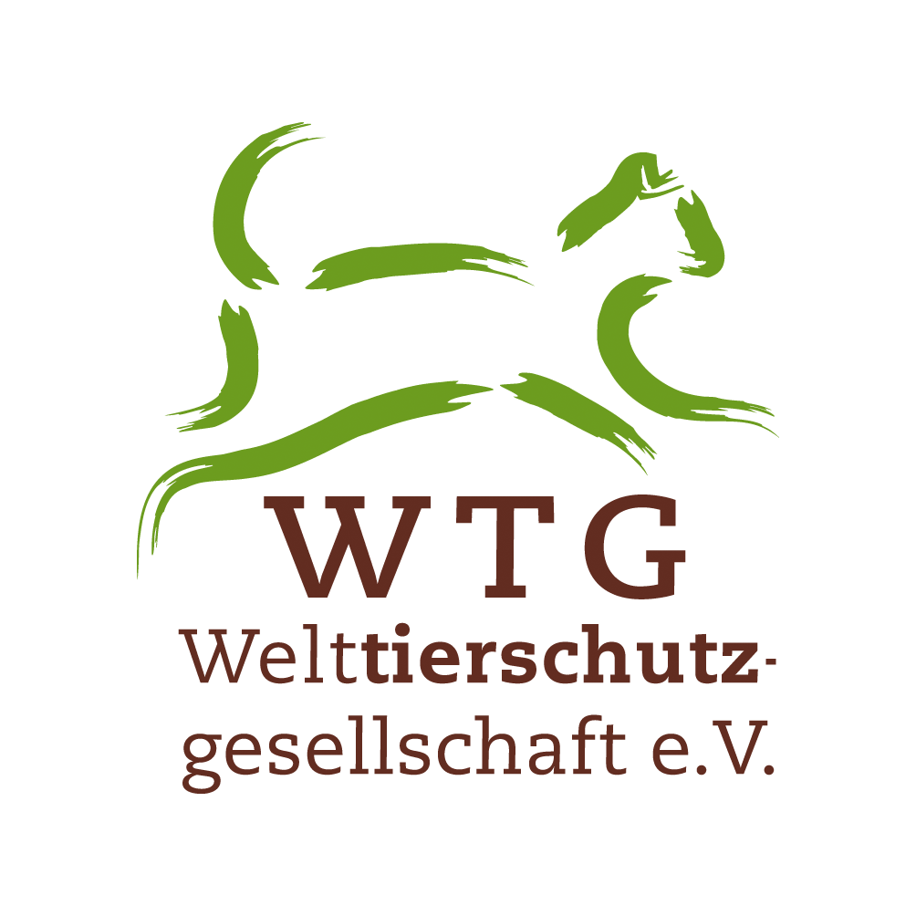 WTG Logo international rgb big